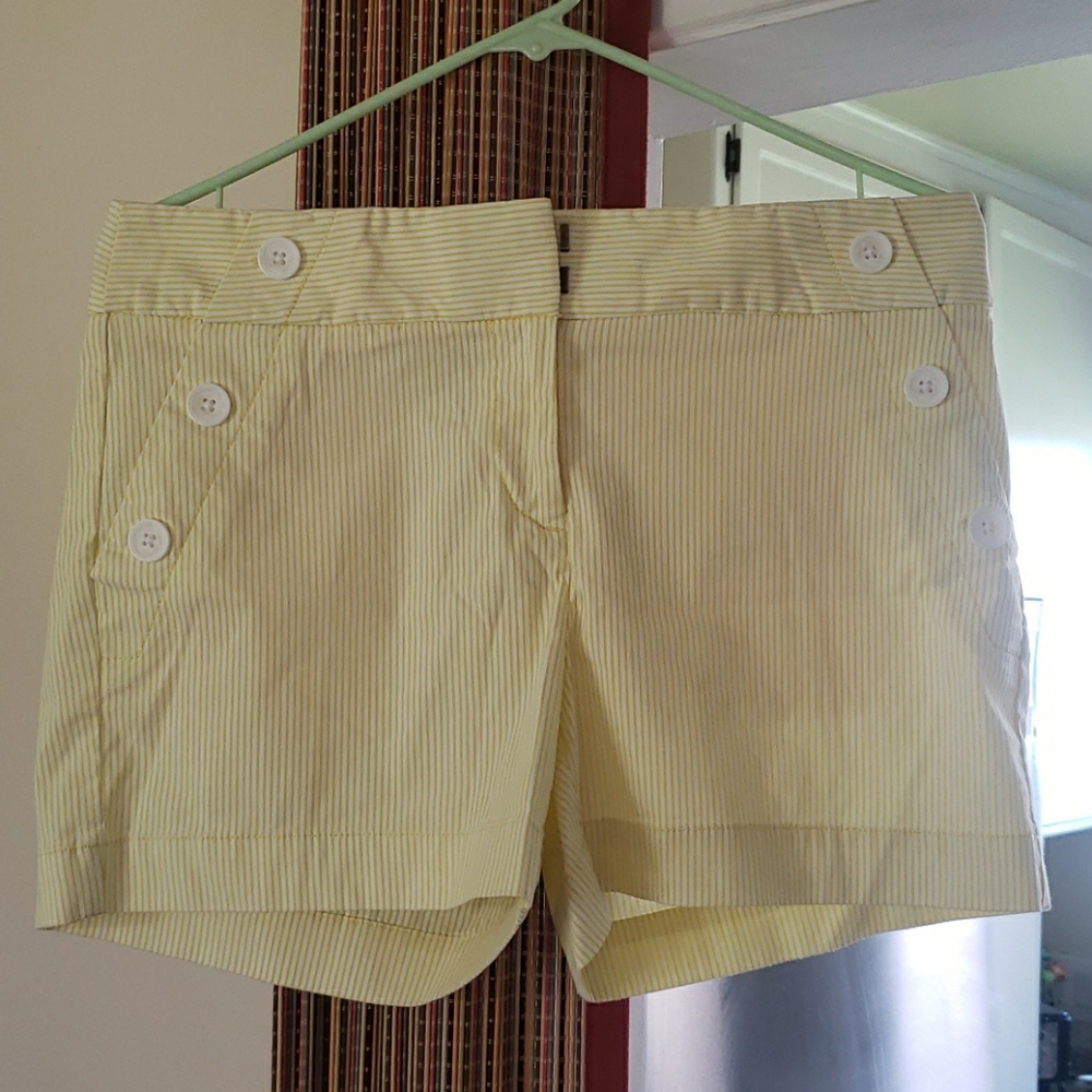 Ann Taylor Loft the Riviera Short